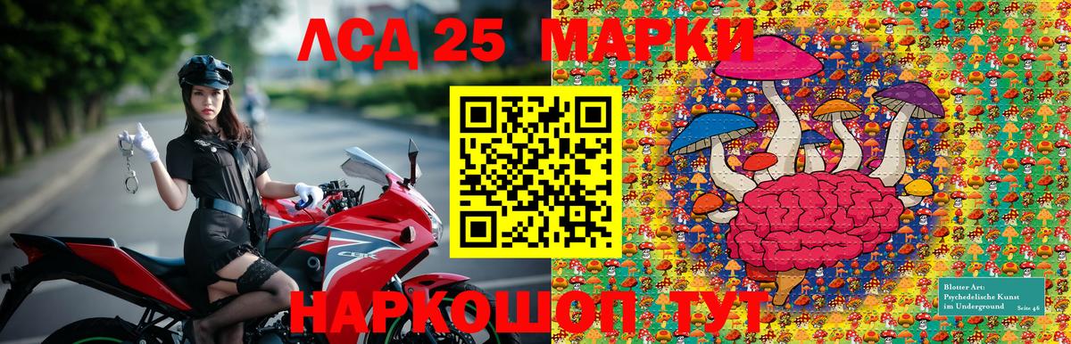 Елец  Наркотические марки 1,5мг  Наркотические марки 1,5мг  Наркотические марки  Вход с VPN 