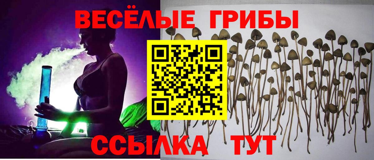Елец  Псилоцибиновые грибы Magic Shrooms  Вход с VPN 